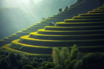 Green Grass Talent Retention