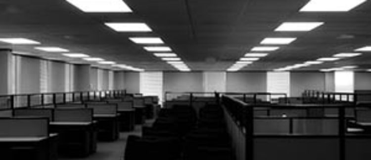 Empty Office Cubicles