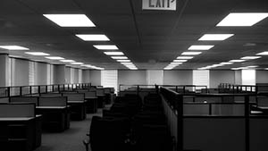 Empty Office Cubicles